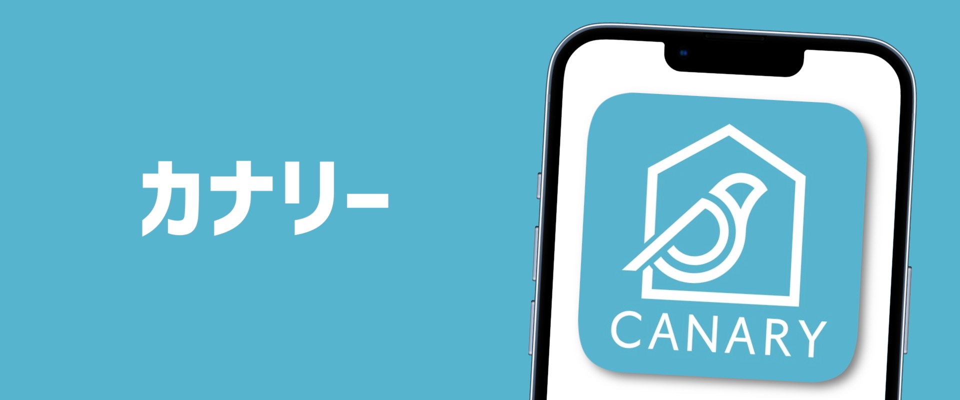 カナリー メリット